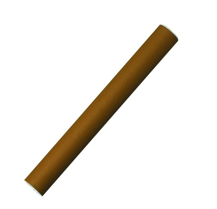 Tub proiecte carton cu capace de plastic la capete, 750 x 100 mm