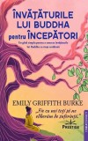Invataturile lui Buddha pentru Incepatori - Carte Spiritualitate Budism Brosata