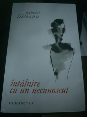Gabriel Liiceanu - &amp;Icirc;nt&amp;acirc;lnire cu un necunoscut foto