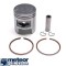 Piston Honda SA Vision (91-95) - Peugeot Rapido (85-93) 2T 50cc D41.00 bolt 10 (segmenti necromati)