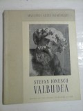 MAESTRII ARTEI ROMINESTI - STEFAN IONESCU VALBUDEA - ALBUM