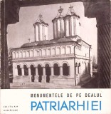 MONUMENTELE DE PE DEALUL PATRIARHIEI-P.E. MICLESCU-367170