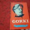 I. GRUZDEV - GORKI RF16/1
