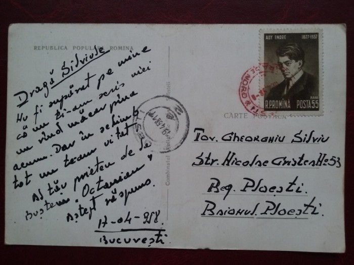 1958-C.P.circulata-LIDO-Rara