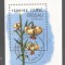 Guinee Bissau 1989 Lilies perf. sheet Mi.B278 used TA.120