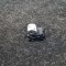 Buton geam ușă dreapta față MINI COUNTRYMAN R60 2017 OEM: 9354866 | 2479413