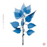 Get Sunk - Vinyl (33 RPM) | Matt Berninger