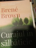 CURAJUL IN SALBATICIE -BRENE BROWN, CURTEA VECHE 2019,173 PAG NOUA