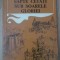 SAPTE CETATI SUB SOARELE GLORIEI-GHEORGHE SASARMAN, GHEORGHE DAVID, SANDA VOICULESCU-232916