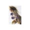 Spice and Wolf, Vol. 6