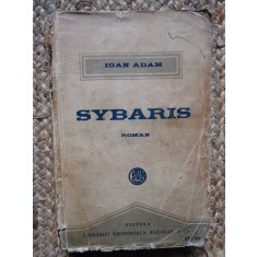 Ioan Adam - Sybaris, Roman