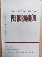 Victor Tufescu, Const. Mocanu - Depresiunea Petrosanilor (Valea Jiului)