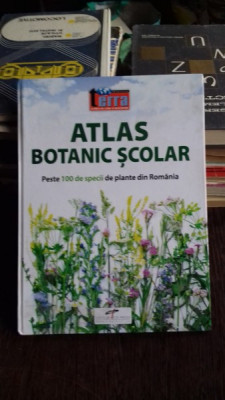 ATLAS BOTANIC SCOLAR - peste 100 specii de plante din Romania foto