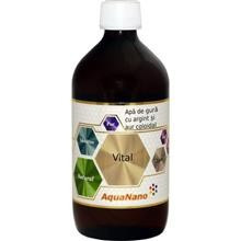 Apa de Gura AquaNano cu Argint si Aur Coloidal Vital 12ppm 480ml Aghoras Cod: 30569 foto