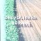 DEZVOLTAREA RURALA-CORNELIU DAN HANCU-271324