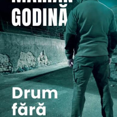 Drum fără prioritate - Paperback brosat - Marian Godină - Curtea Veche