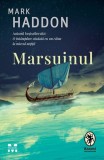 Marsuinul - Mark Haddon
