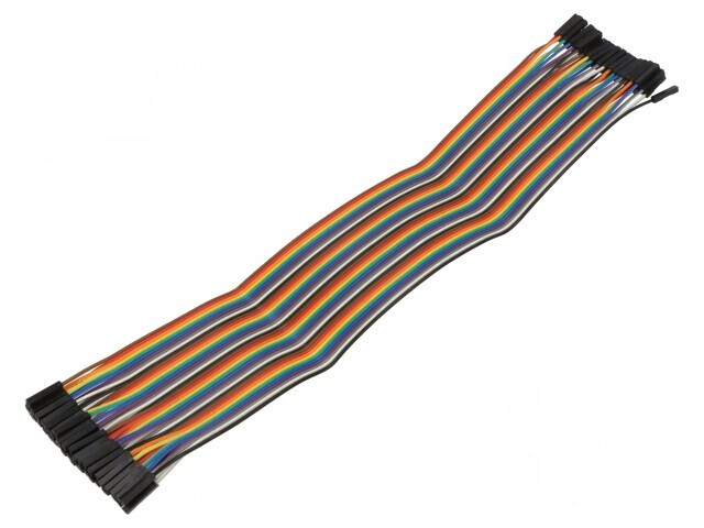 Cablu Conectare 300mm Mamă-Mamă 40 PIN Culori Multiple