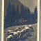 AD 624 C. P. VECHE - MOTIV IZ LOGARSKE DOLINE-IUGOSLAVIA-CIRC 1940 LA BUCURESTI