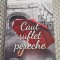 Caut suflet pereche Rachel Winters