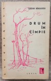 Drum in campie - Stefan Banulescu// 1960, semnatura Gheorghe Istrate