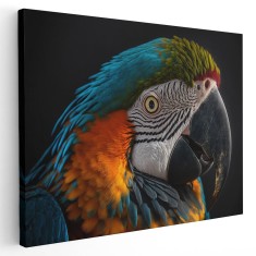 Tablou canvas pasare papagal ara, albastru, portocaliu, verde 1118 Tablou canvas pe panza CU RAMA 70x100 cm