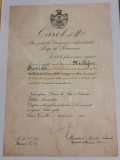 Brevete Aviatie Militara Regalista Nichifor Dionisie avansare Capitan Ordinul Virtutea Aeronautica in grad de Cruce de aur Semn Serviciu Credincios
