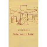 K&uuml;szk&ouml;dni lett&eacute;l - Kondor B&eacute;la