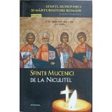 SFINTII MUCENICI DE LA NICULITEL-SILVAN THEODORESCU-137105