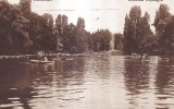 Gradina Cismigiu. Bucuresti (circulata 1929)