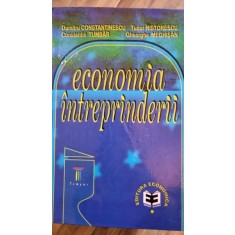 Economia intreprinderii - Dumitru Constantinescu