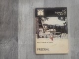 Predeal de Rodica Maria Niculescu