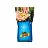 Seminte de porumb Dekalb DKC 3972 FAO 250-290 80.000 seminte, Monsanto
