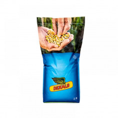Seminte de porumb Dekalb DKC 3972 FAO 250-290 80.000 seminte