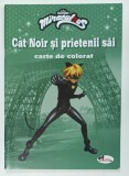 CAT NOIR SI PRIETENII SAI , CARTE DE COLORAT , SERIA &#039; MIRACULOUS &#039; , 2020