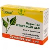 Gemoderivat Muguri Mesteacan Alb Hofigal 30mdz