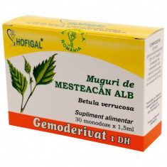 Gemoderivat Muguri Mesteacan Alb Hofigal 30mdz