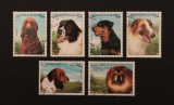 Serie Completă 6 Timbre Afganistan 1998 Rase de C&acirc;ini Ștampilate - A992