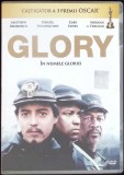DVD FILM: GLORY-339303