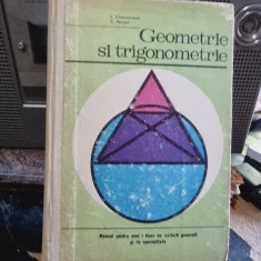 Laura Constantinescu, Cristu Petrisor - Geometrie si Trigonometrie. Manual pentru anul I liceu foto