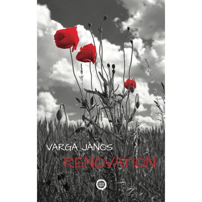 Renovation - Varga J&aacute;nos