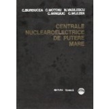 Centrale nuclearoelecrice de putere mare