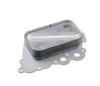 Radiator racire ulei motor, termoflot Mercedes Clasa A (W169), 09.2004-06.2012, motor 2.0 cdi, 60/80/103 kw, diesel, A180, A160, A200 CDI, 137x78x38