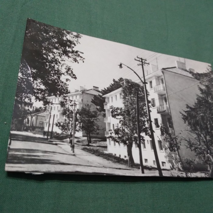 CARTE POSTALA CIRCULATA FALTICENI PE STR.NICU GANE
