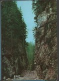 CPI B 11770 CARTE POSTALA - CHEILE BRUSTURETULUI, Necirculata, Fotografie