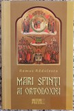Mari Sfinti ai ortodoxiei - Remus Radulescu