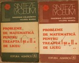 PROBLEME DE MATEMATICA PENTRU TREAPTA I SI A II-A DE LICEU VOL.1-2-GHEORGHE CALUGARITA, VALERIU MANGU-262711