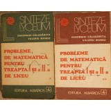 PROBLEME DE MATEMATICA PENTRU TREAPTA I SI A II-A DE LICEU VOL.1-2-GHEORGHE CALUGARITA, VALERIU MANGU-307775