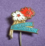 Insigna Sovietica (anul 1957) - cel de-al VI-lea Festival Mondial al Tineretului și Studenților desfășurat la Moscova