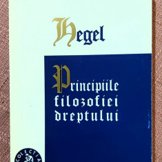 Principiile filosofiei dreptului. Editura IRI, 1996 - G. W. F. Hegel